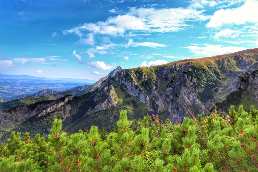 Wrześniowe popołudnie, widok w stronę szczytu Giewont z czerwonego szlaku na Ciemniak, kosodrzewina