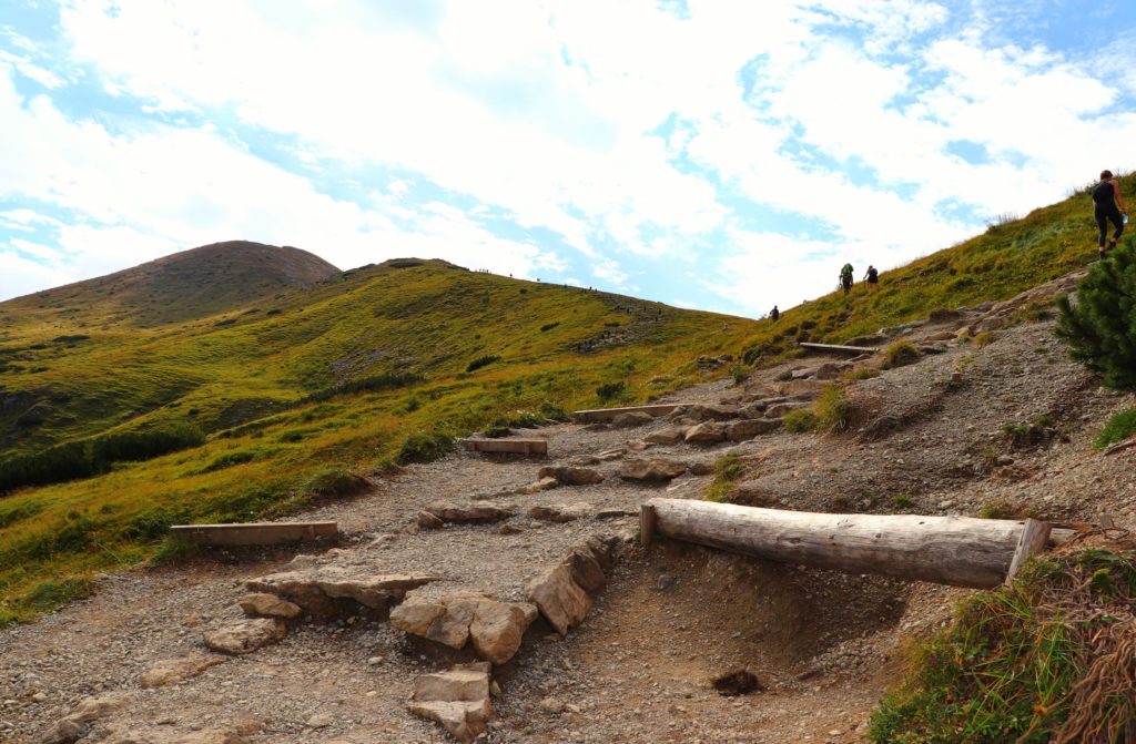 Wzmocnienia na czerwonym szlaku na Ciemniak, widoczne podejście w stronę szczytu