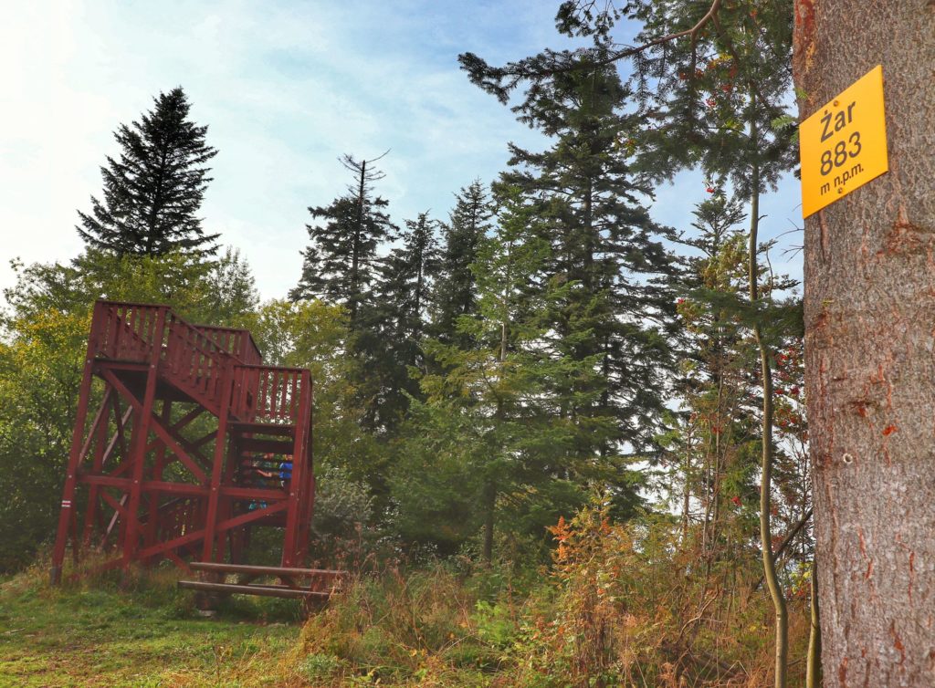 Żółta tabliczka wisząca na drzewie oznaczająca szczyt Żar w Pieninach Spiskich mierzący 883 m n.p.m. w tle widoczna drewniana wieża na szczycie Żar
