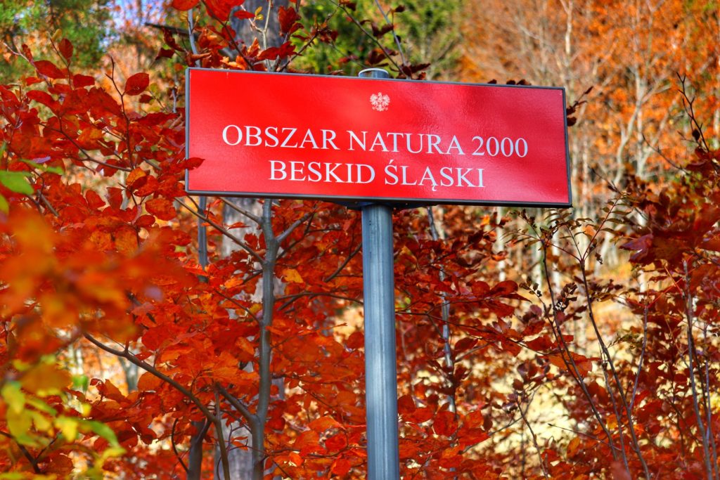 Czerwona tablica z napisem OBSZAR NATURA 2000 BESKID ŚLĄSKI, jesienna sceneria