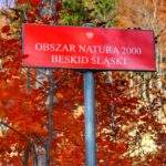 Czerwona tablica z napisem OBSZAR NATURA 2000 BESKID ŚLĄSKI, jesienna sceneria