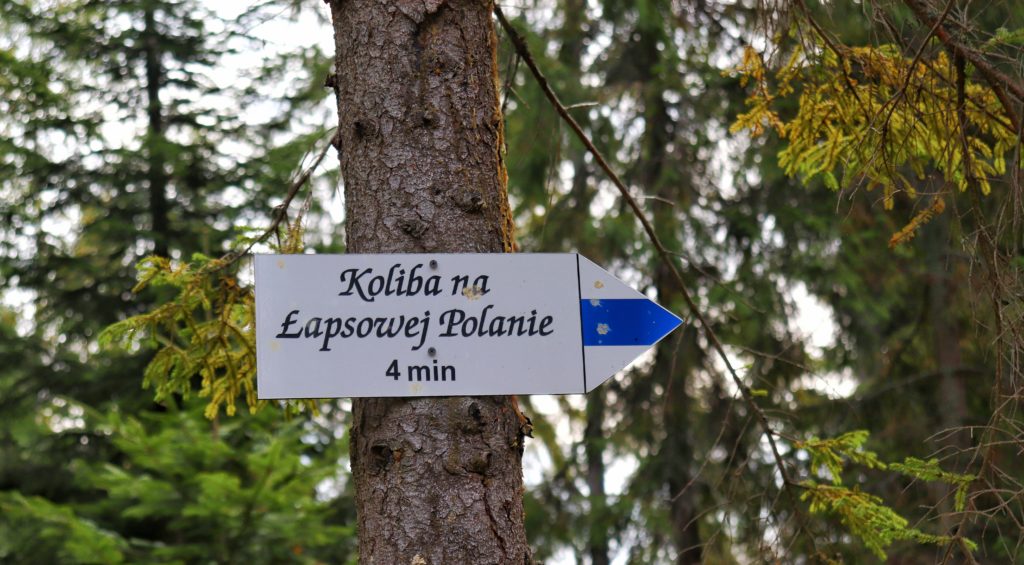Drogowskaz, biała tabliczka w krztałcie strzałki, szlak niebieski do Koliby na Łapsowej Polanie - 4 minuty