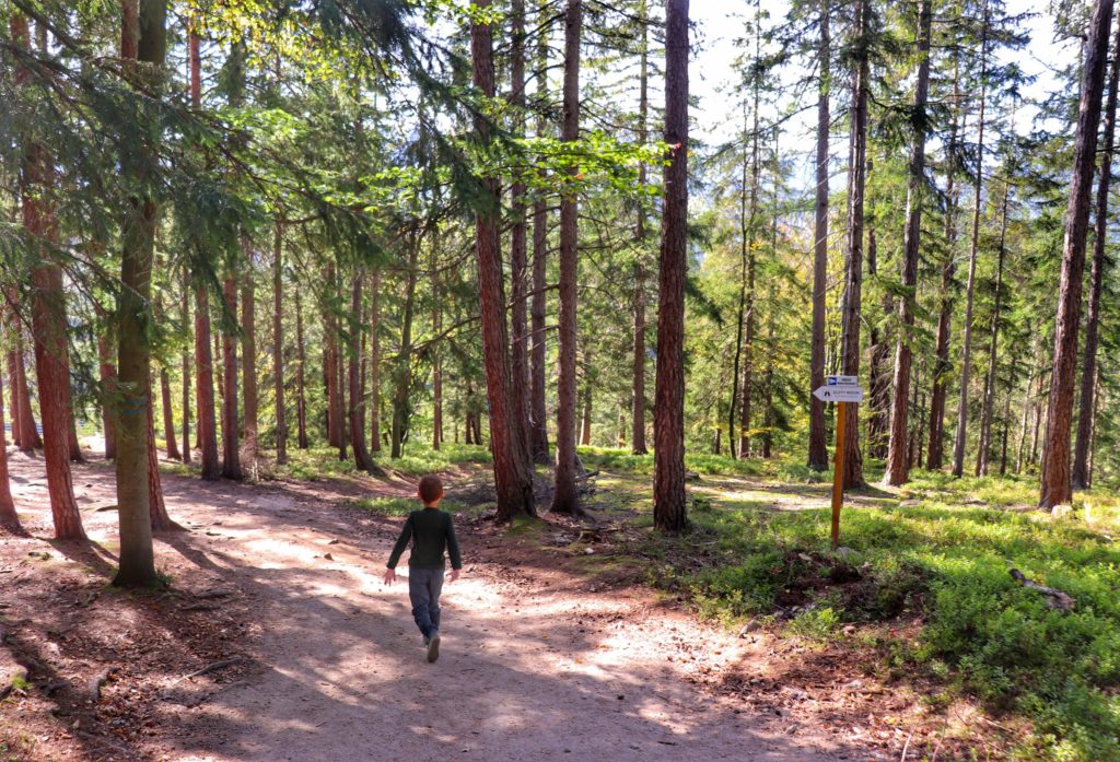 Dziecko idące leśną drogą w kierunku punktu widokowego - Złoty Widok