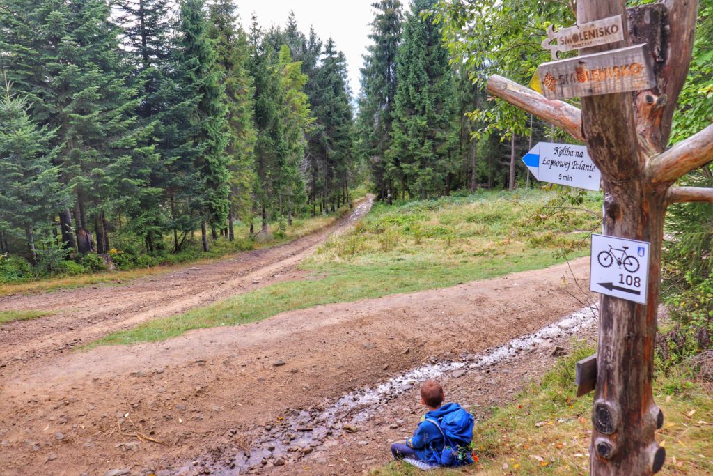 Dziecko odpoczywające w miejscu skrzyżowaniu szlaku czarnego oraz niebieskiego w Gorcach, szeroka droga leśna, słup z drogowskazami