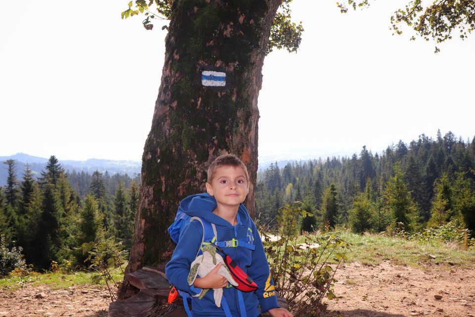 Dziecko trzymające pluszowego żółwia, stojące przy drzewie na Łapsowej Polanie w Gorcach