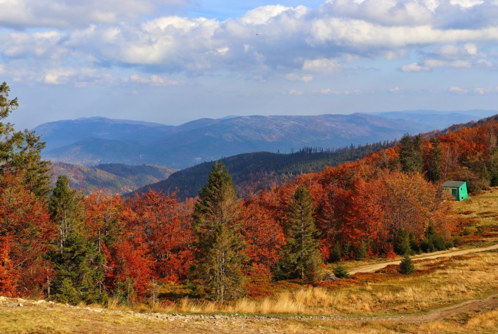 Klimczok, Widok na Beskid Śląski oraz Beskid Żywiecki, jesień