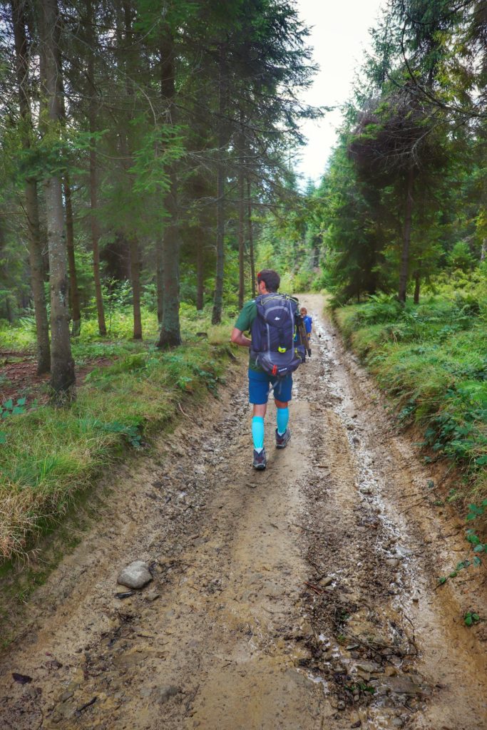 Mężczyzna idący leśną drogą do Koliby na Łapsowej Polanie