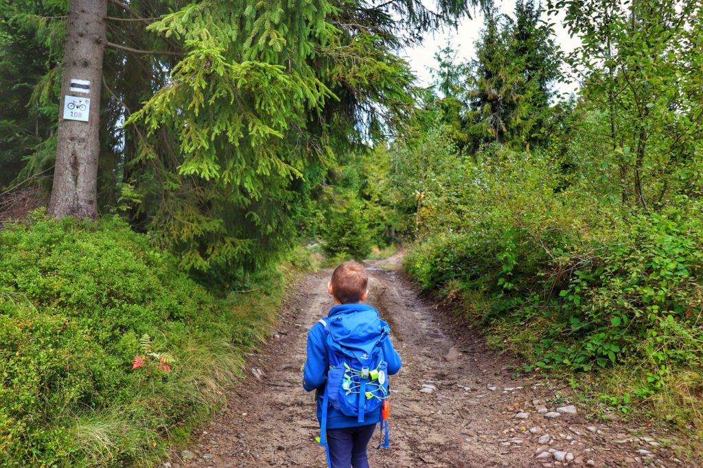 Mały turysta - dziecko na czarnym szlaku w Gorcach, okolice Łapsowej Polany, szeroka droga leśna