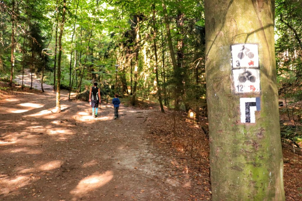 Oznaczenie na drzewie skrętu w prawo czarnego szlaku idącego ze Szklarskiej Poręby do punktu widokowego Złoty Widok, w tle widoczny turysta z dzieckiem, las