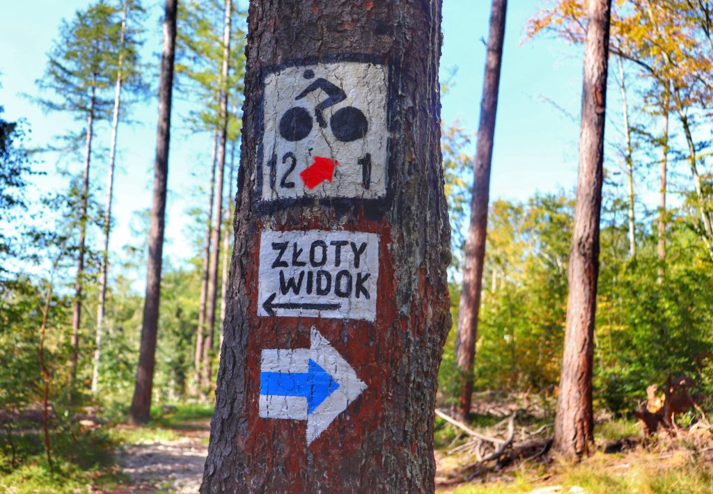 Oznaczenie na drzewie szlaku rowerowego oraz strzałka - szlak niebieski w prawo na Złoty Widok