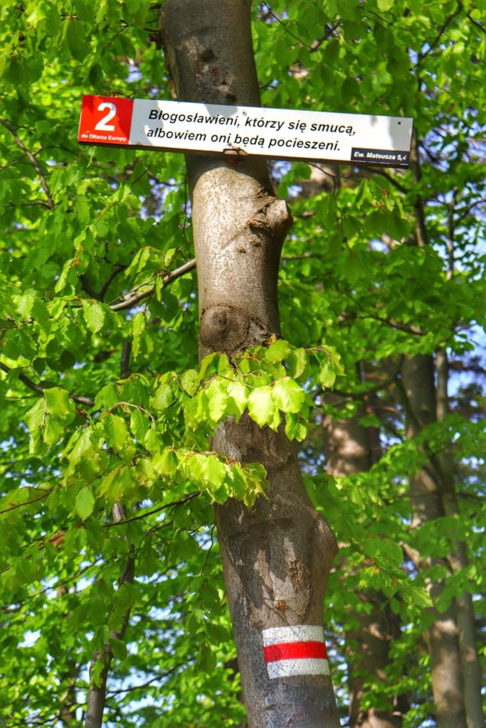 Oznaczenie szlaku czerwonego na drzewie - Biały Krzyż - Szczyrk, biała tabliczka z cytatem - Błogosławieni, którzy się smucą, albowiem oni będą pocieszeni.