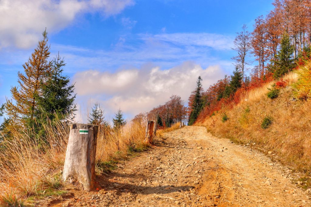 Piękna, jesienna ścieżka na zielonym szlaku na Klimczok (ze Szczyrku)