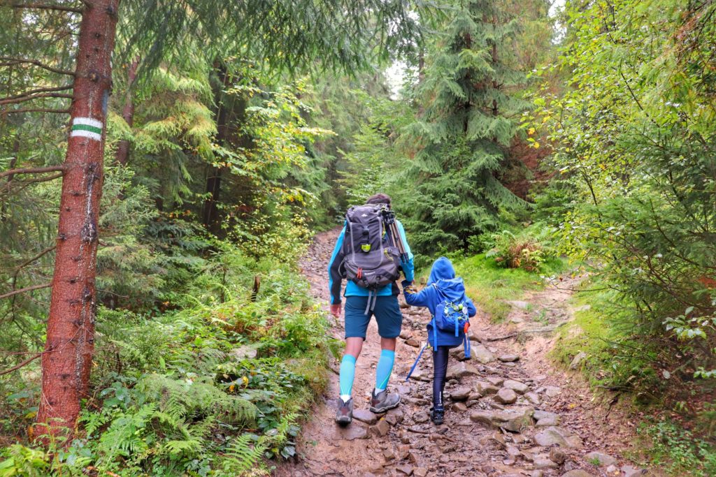 Pnąca się w górę kamienista ścieżka leśna, turysta z dzieckiem, wilgotny poranek, szlak zielony - Obidowa