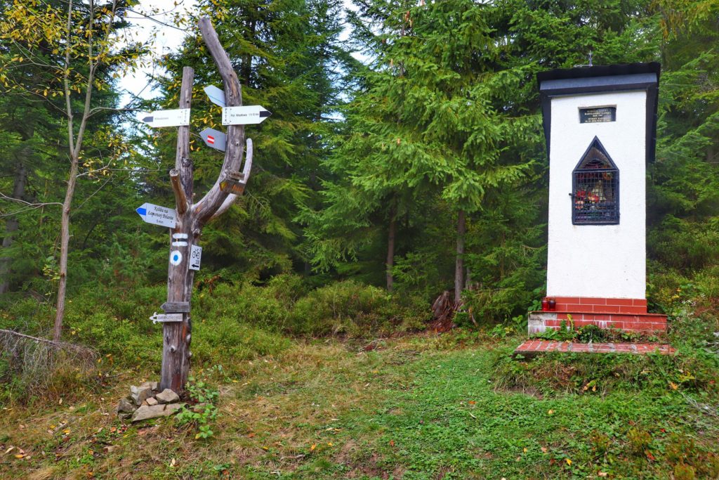 Skrzyżowanie szlaków w Gorcach, czarnego oraz niebieskiego idącego do Koliby na Łapsowej Polanie, kapliczka leśna