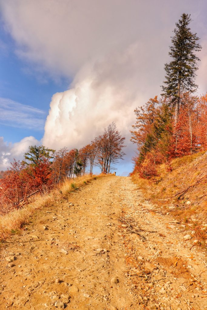 Szeroka droga na niebieskim szlaku na Klimczok, jesienne drzewa, niebo pokryte białymi chmurami