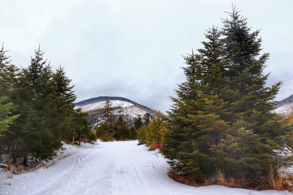 Szeroka, zaśnieżona droga - żółty szlak prowadzący nad Zielony Staw Kieżmarski