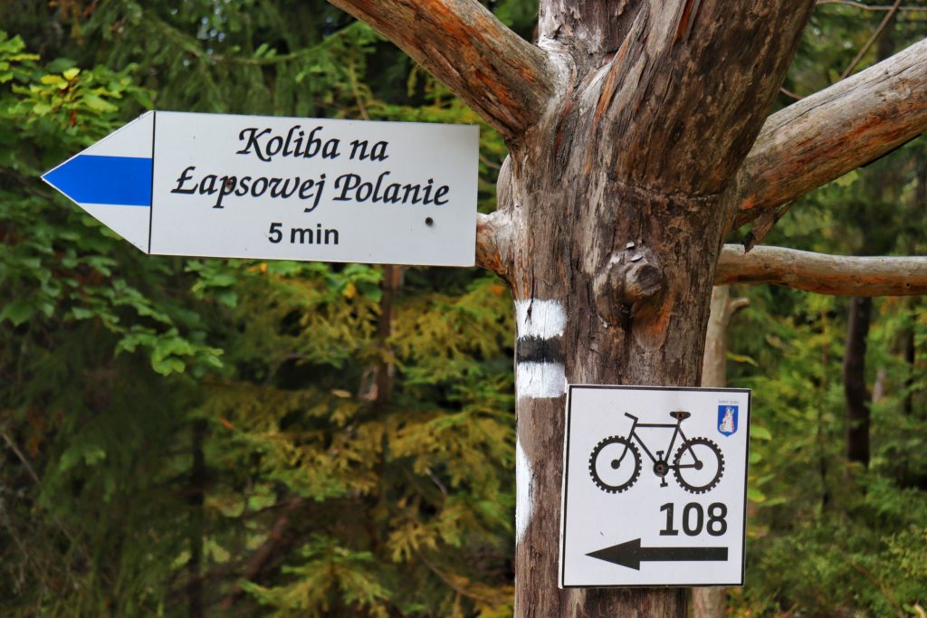 Tabliczka, szlak niebieski - Koliba na Łapsowej Polanie 5 minut, dodatkowo oznaczenie szlaku rowerowego 
