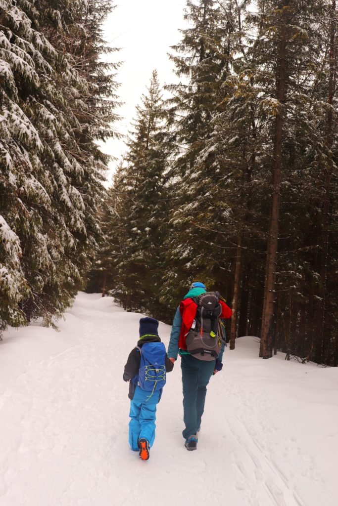Turyści - dziecko z tatą idący szeroką drogą leśną, zimowa sceneria, Słowackie Tatry