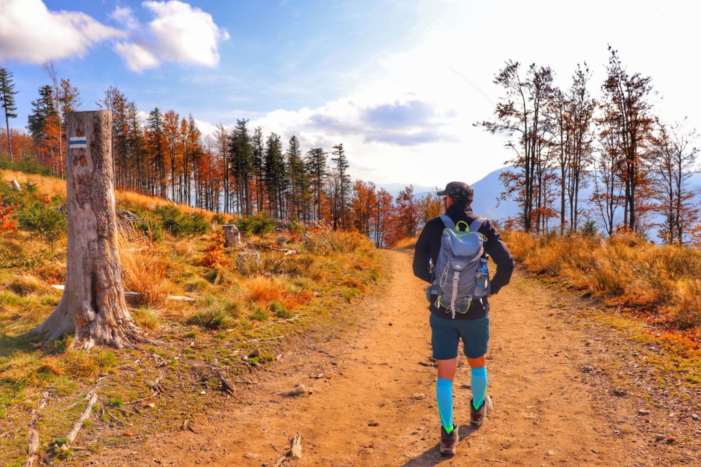 Turysta schodzący ze szczytu Klimczok niebieskim szlakiem w kierunku Szczyrku, szeroka droga, ciepły, jesienny dzień