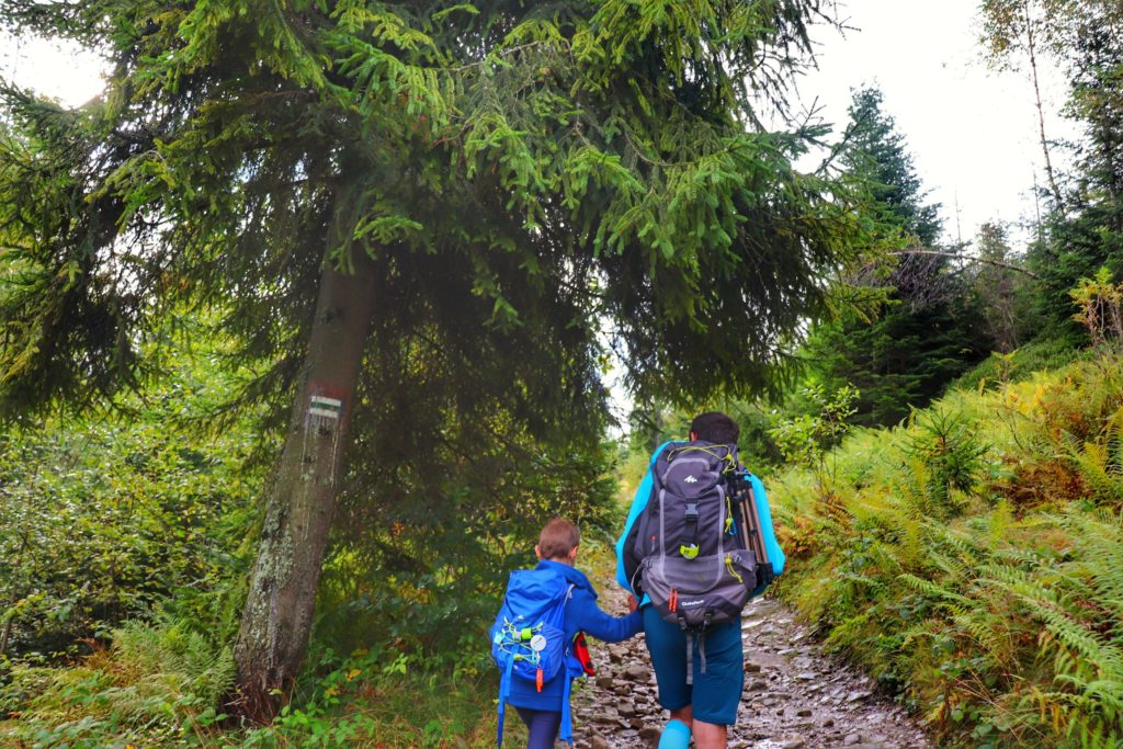 Turysta z dzieckiem na zielonym szlaku w Gorcach, leśna ścieżka