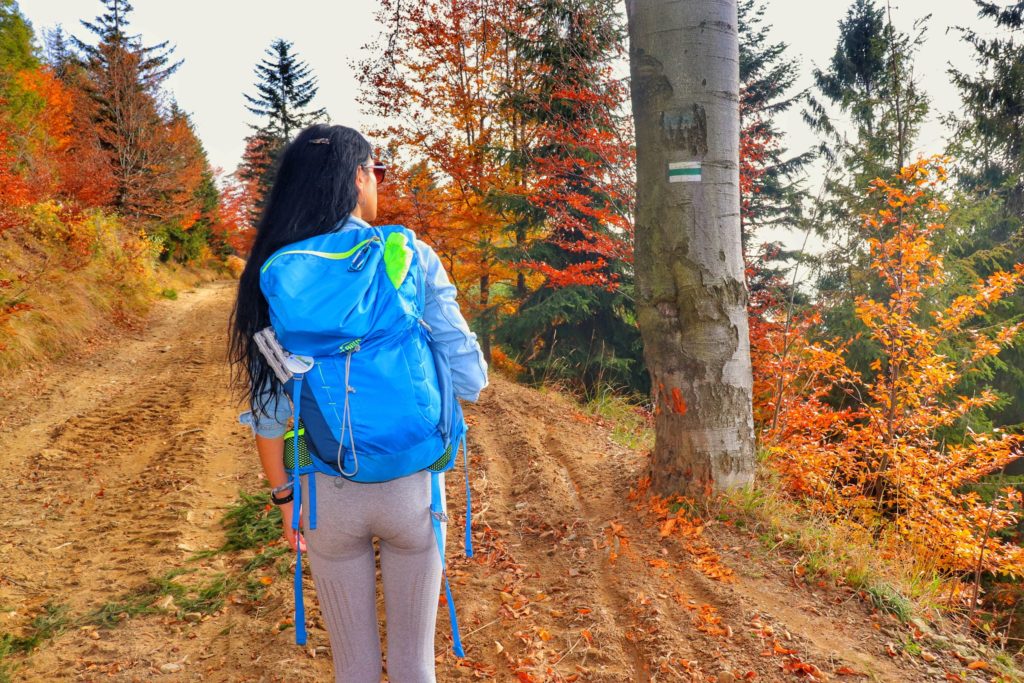 Turystka idąca zielonym szlakiem prowadzącym na Klimczok, szeroka droga leśna, jesień