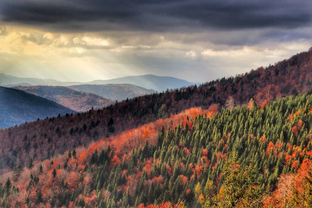 Zachmurzone niebo, promienie słoneczne, widok na Beskidy, drzewa pokryte jesiennymi barwami, okolice szczytu Klimczok