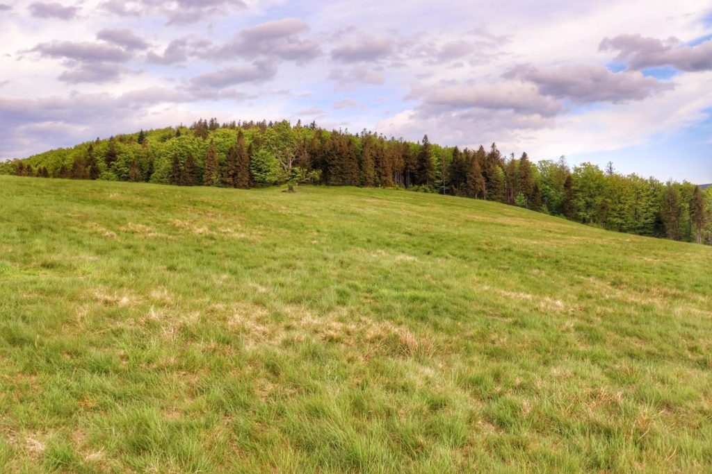 Zielona Hala Jaworowa w Beskidzie Śląskim, niebieskie niebo z białymi chmurami
