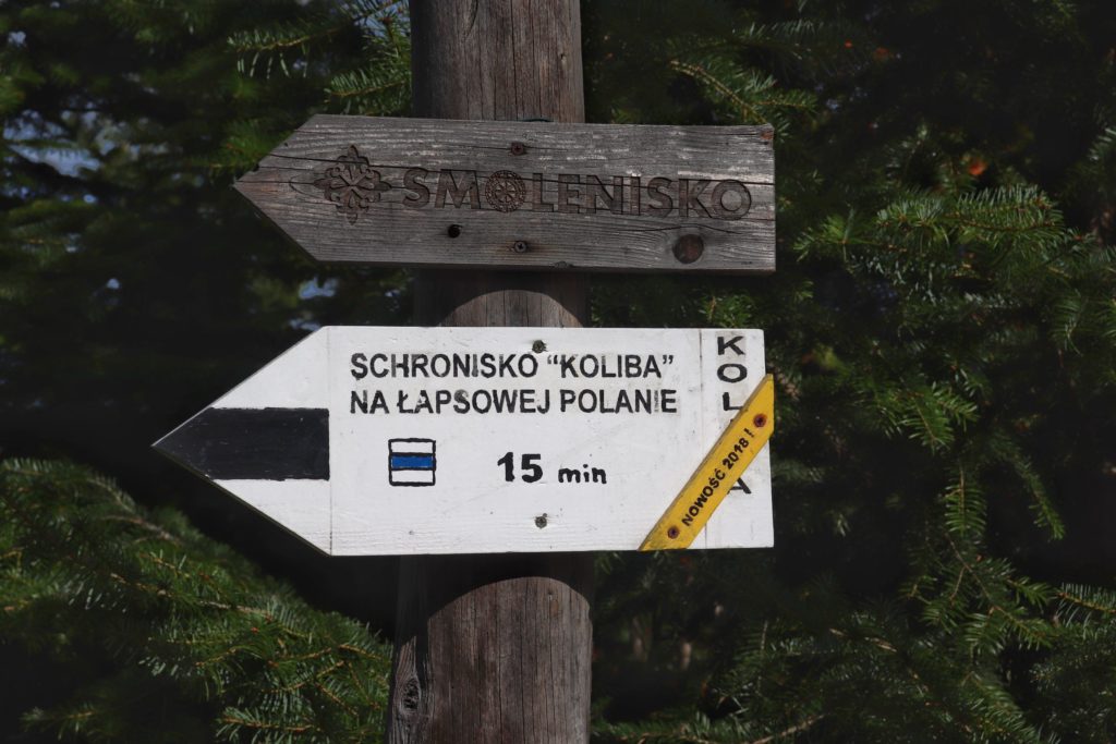 Łapsowa w Gorcach, biała tabliczka w krztsałcie strzałki (drogowskaz) informujący, że do Schroniska Koliby na Łapsowej Polanie jest 15 minut szlakiem czarnym