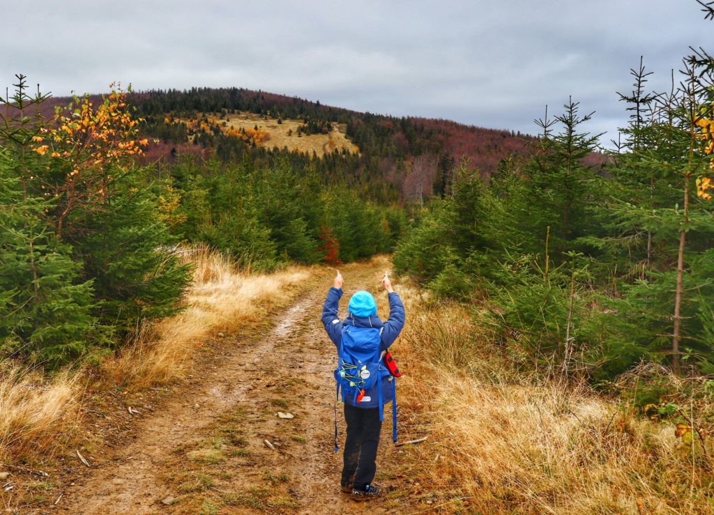 Dziecko wędrujące żółtym szlakiem na Jałowiec, w oddali widoczna jesienna Polana Trzebuńska