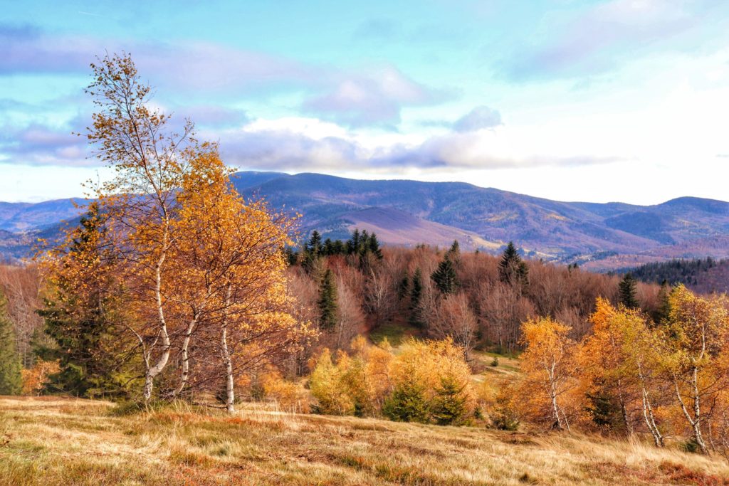 Jesień na szczycie Beskidek, widok na góry