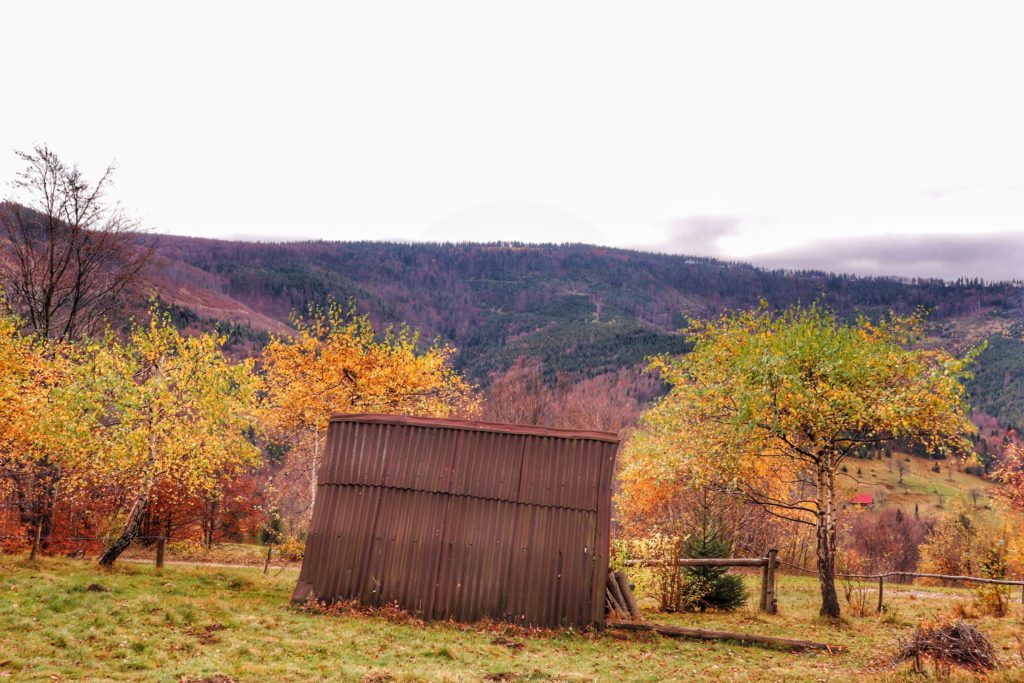 Jesienna sceneria, chatka, widok na Beskidy - Koszarawa