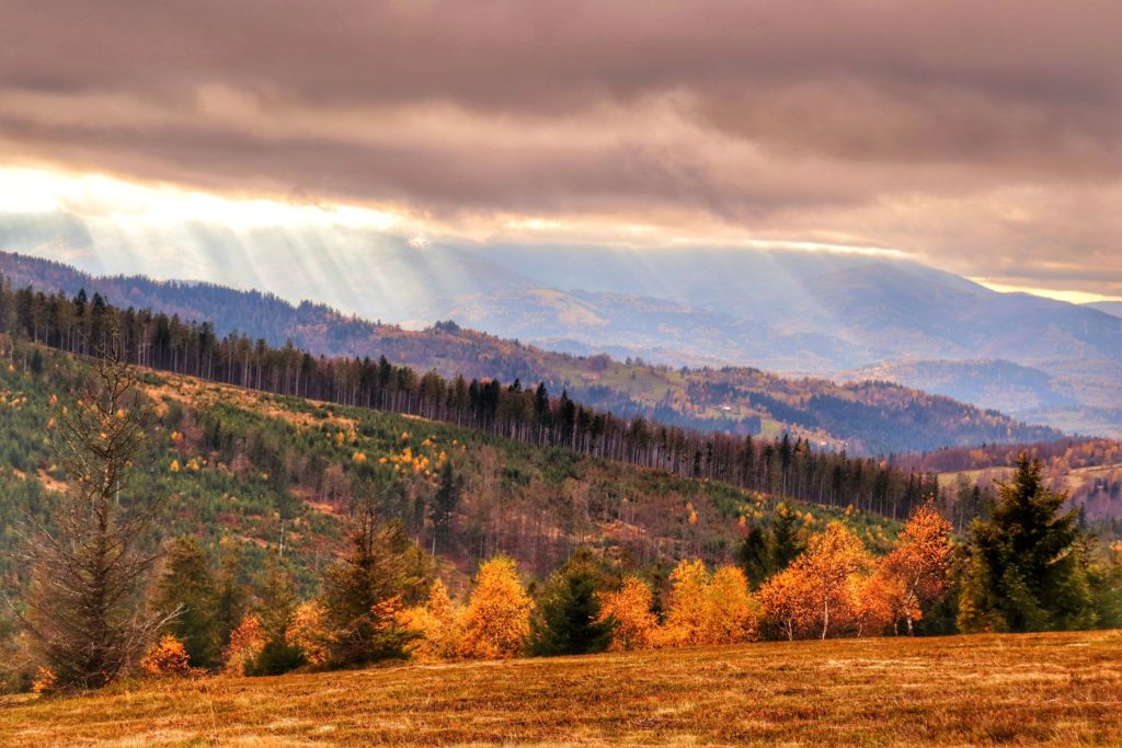 Jesienny krajobraz - widok na Beskidy z żółtego szlaku na Jałowiec, chmury, zza których przebijają się promienie słoneczne