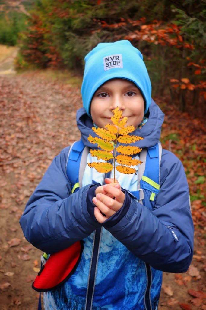 Mały turysta, dziecko trzymające jesienny liść w kolorze żółtym, las