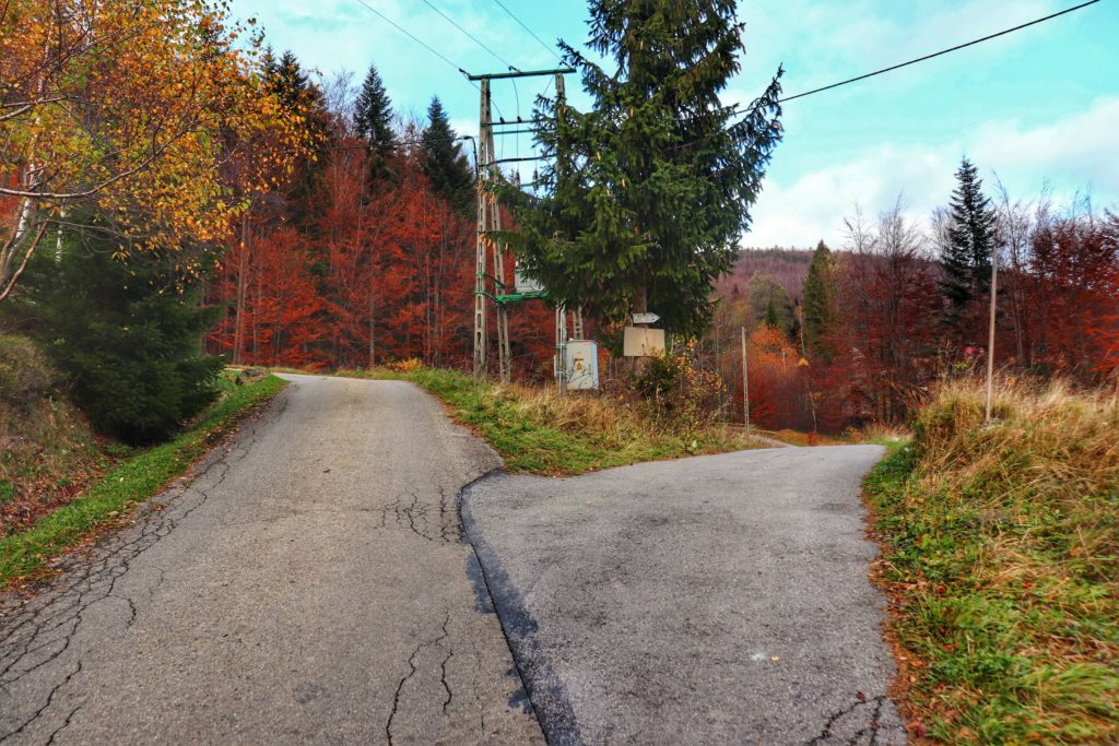 Rozwidlenie drogi w Koszarawie, w prawo idzie szlak niebieski do stacji turystycznej ZYGMUNTÓWKA - 700 metrów, jesień