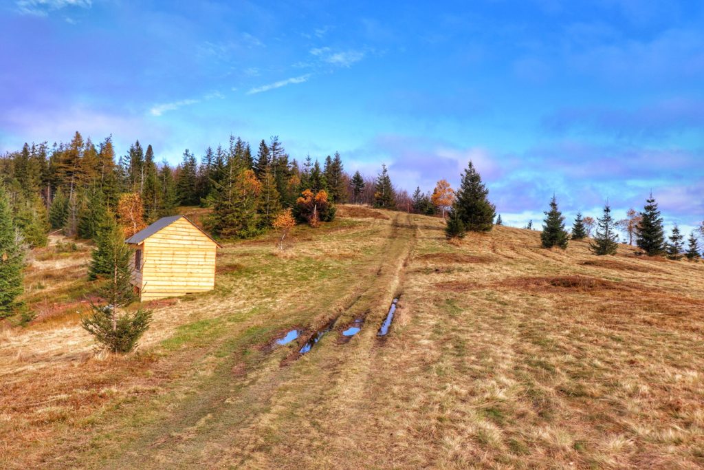 Szeroka droga prowadząca do szczytu Beskidek, po lewej stronie drewniana chatka, niebieski niebo