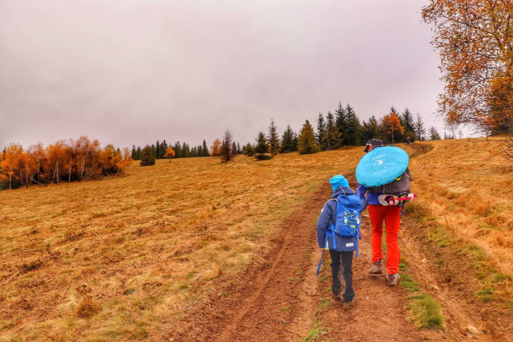 Turysta z dzieckiem idący w górę Polany Trzebuńska w kierunku szczytu Jałowiec