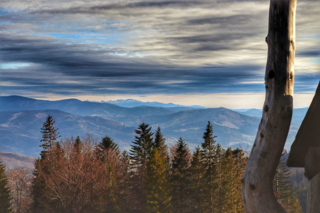 Widok na Beskid oraz Tatry spod Bacówki na Hali Baraniej
