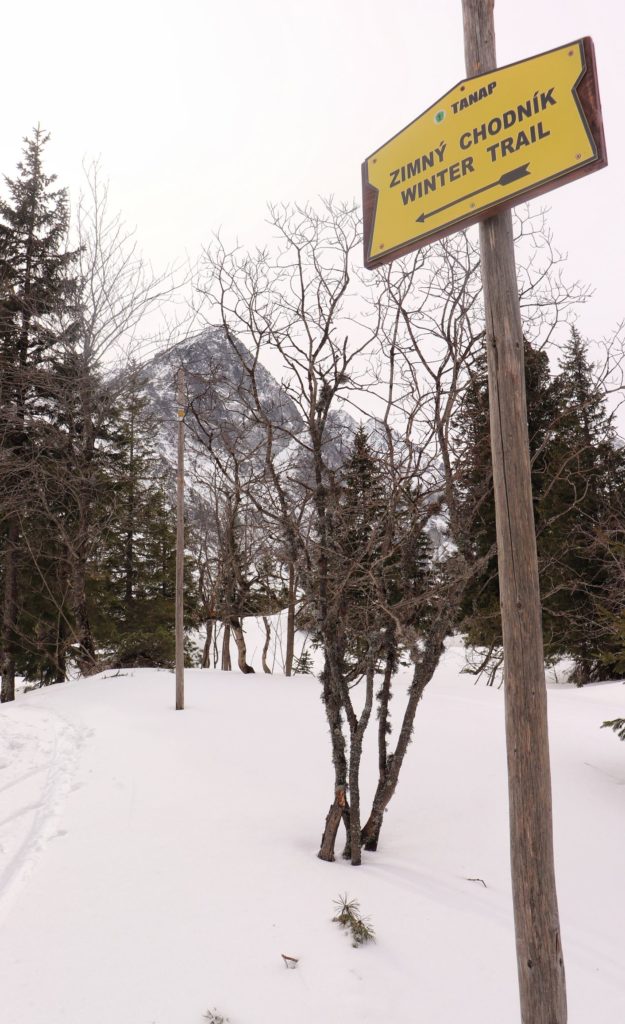 Żółta tabliczka z napisem - WINTER TRAIL - żółty szlak nad Zielony Staw Kieżmarski, ścieżka do schroniska wyznaczona zimą