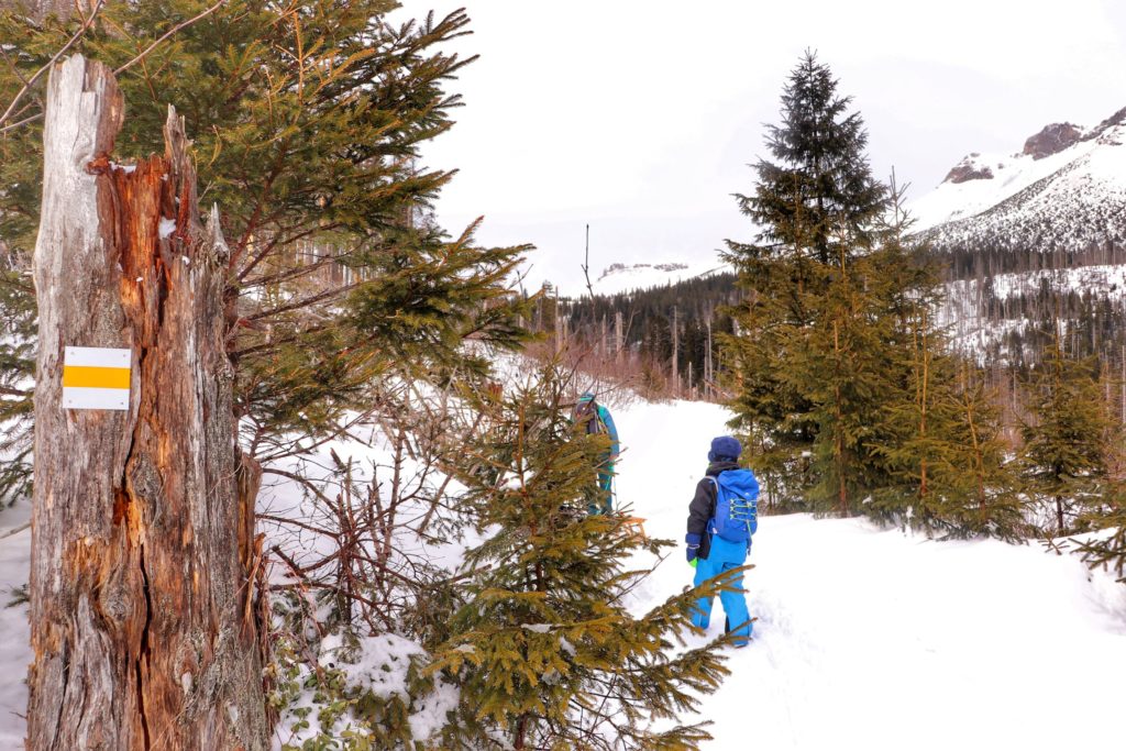 Żółty szlak nad Zielony Staw Kieżmarski zimą, dziecko idące zaśnieżoną ścieżką