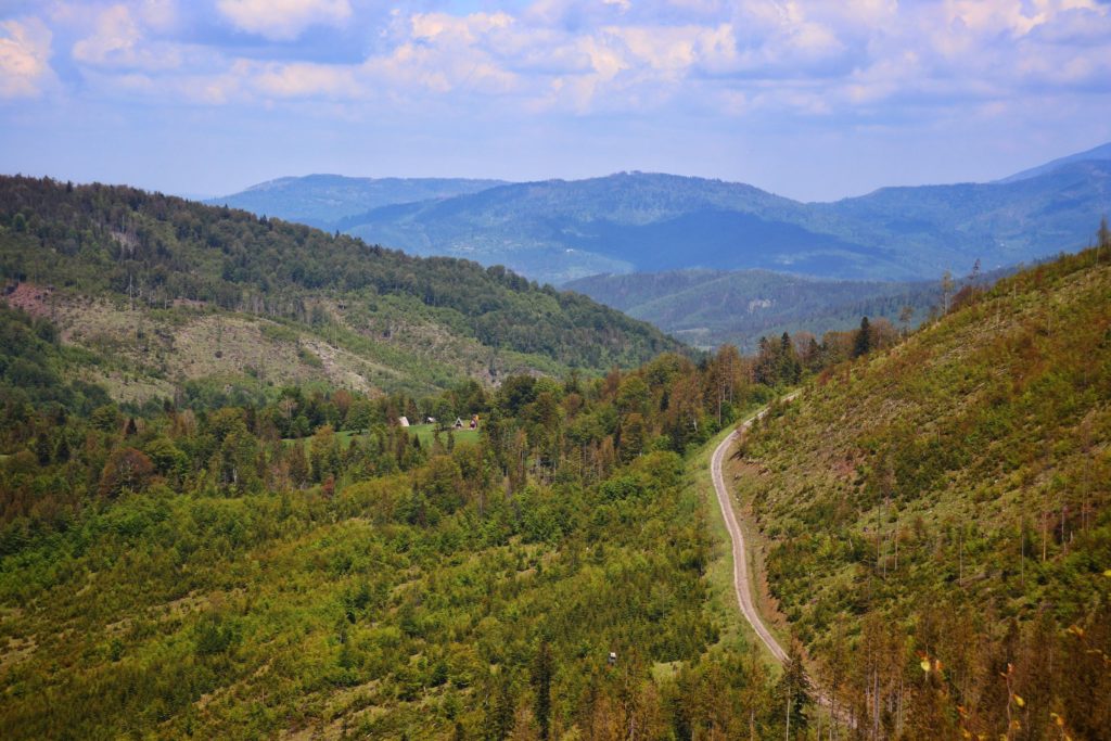 Ścieżka prowadząca między górami, krajobraz górski, Beskidy okolice Bendoszki Wielkiej