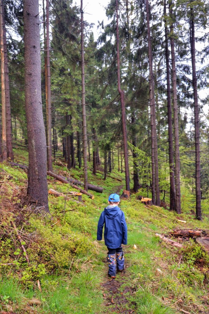 Dziecko- chłopiec wędrujący drogą leśną