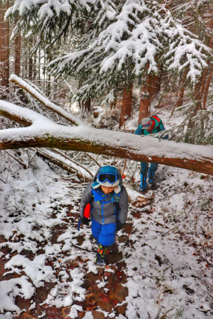 Dziecko przechodzące pod zwalonym drzewem, zaśnieżony Beskid Żywiecki