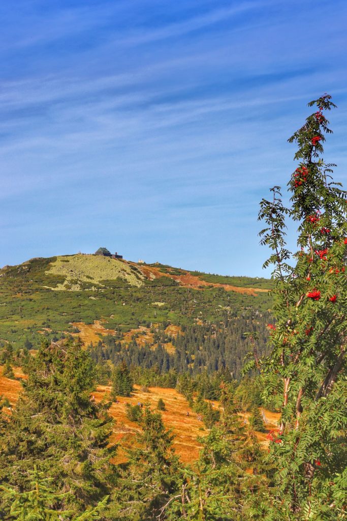 Jesień, widok na Szrenicę, szlak zielony w Karkonoskim Parku Narodowym