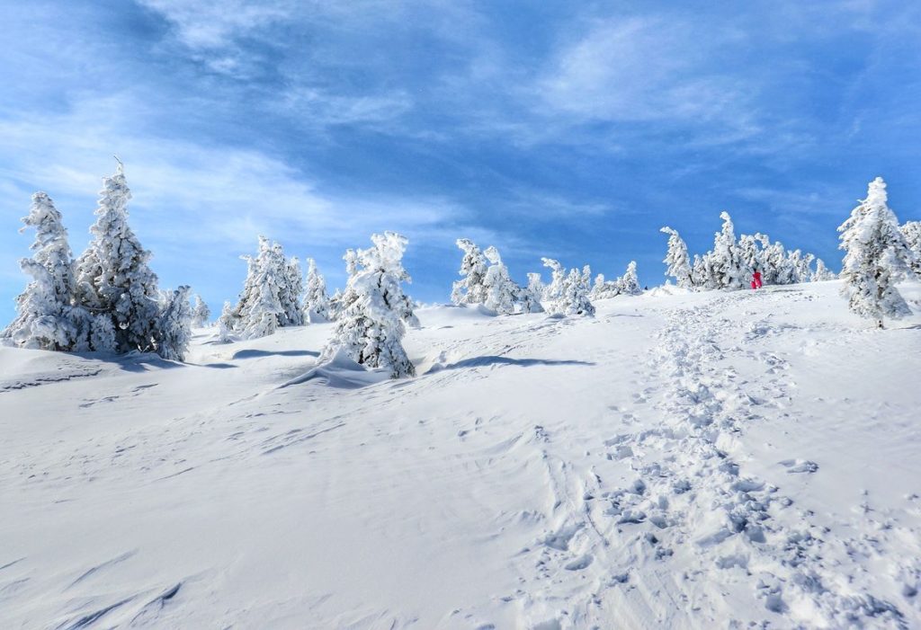 Piękny, zimowy dzień na niebieskim szlaku na Pilsko, ogromne ilości zalegającego śniegu na szlaku, zaśnieżone drzewa, niebieskie niebo