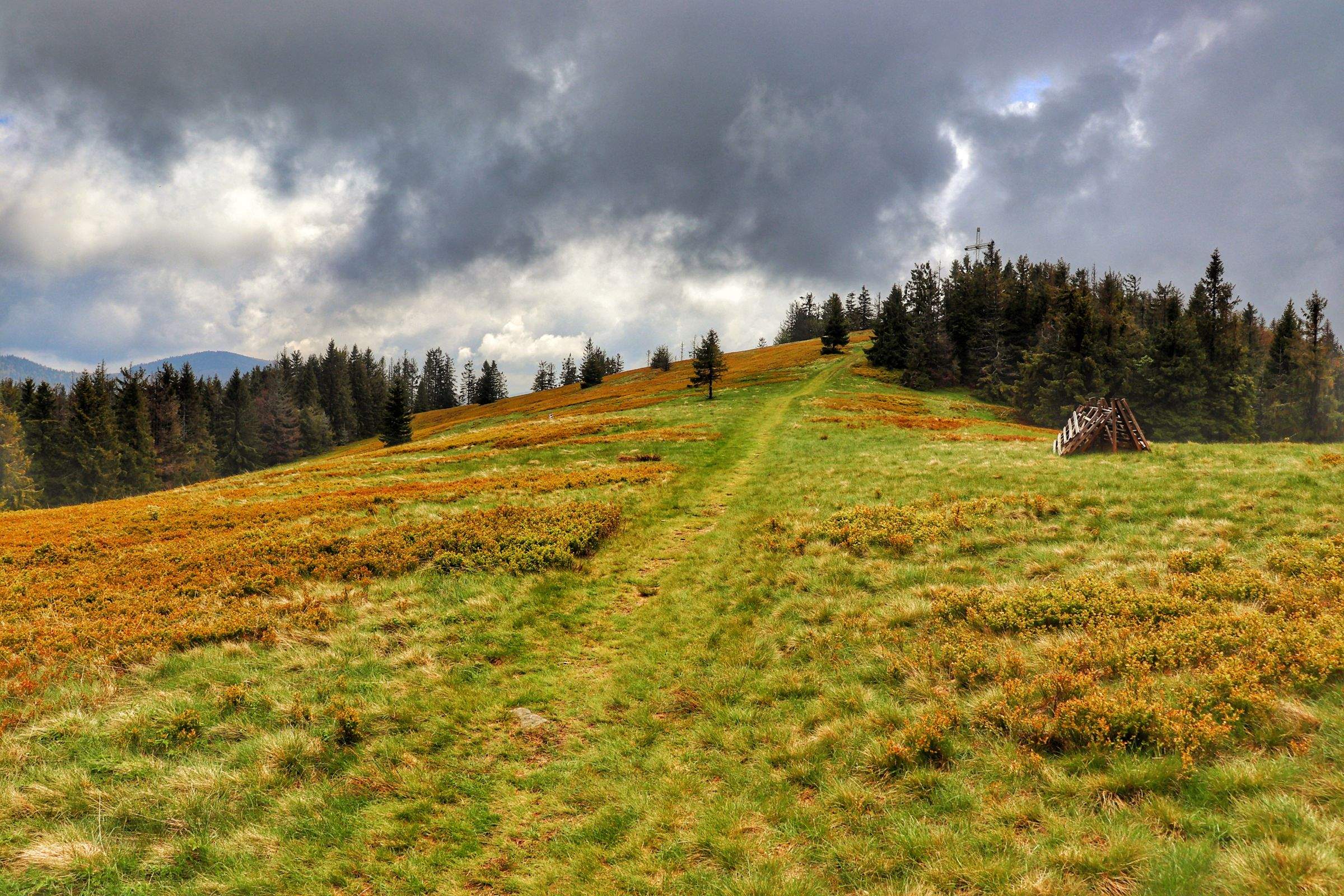 Bendoszka Wielka – zejście do parkingu – Roztoki Górne