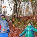 Szczęśliwe dzieci podrzucające liście do góry, słoneczny dzień, miejscowość Rycerki