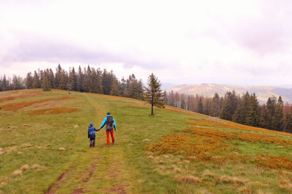 Turysta idący z dzieckiem niebieskim szlakiem wzdłuż polany znajdującej się pod szczytem Bendoszka Wielka