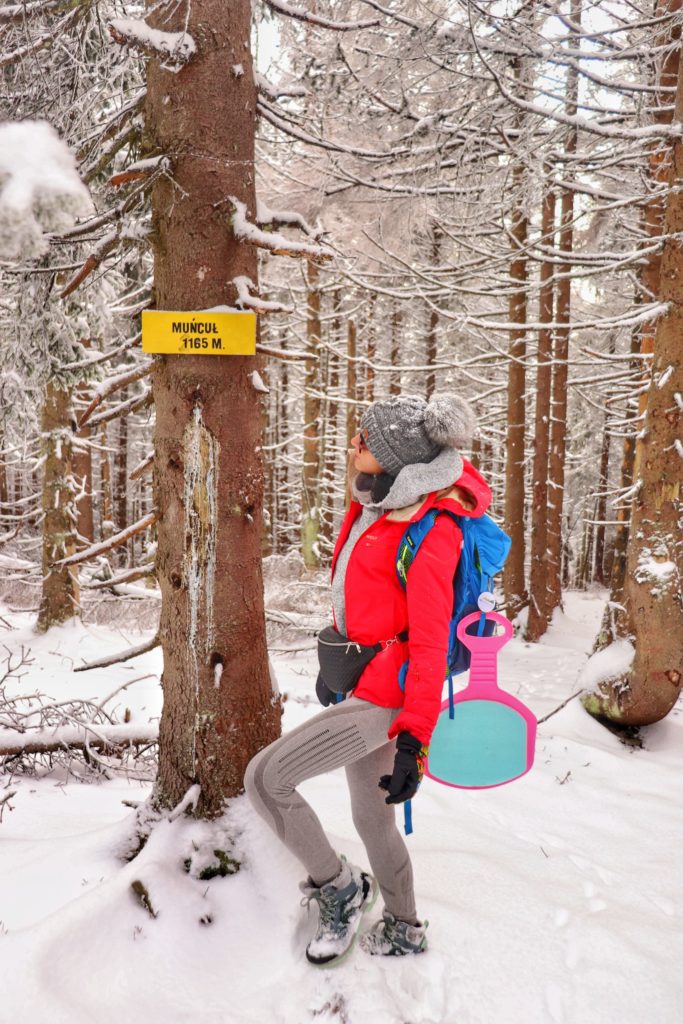 Turystka na sczczycie Muńcuł zimą, żółta tabliczka wisząca na drzewie oznaczająca szczyt Muńcuł