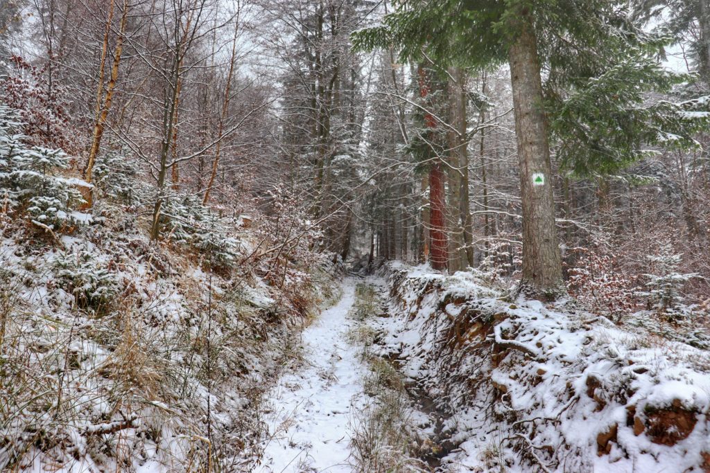 Wąska, zaśnieżona ścieżka na zielonym szlaku bazowym idącym do bazy namiotowej Przysłop Potócki