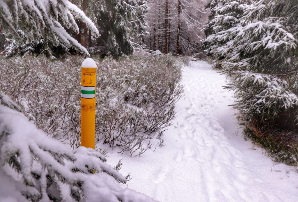 Wąska, zaśnieżona ścieżka na zielonym szlaku prowadząca na szczyt - Muńcuł